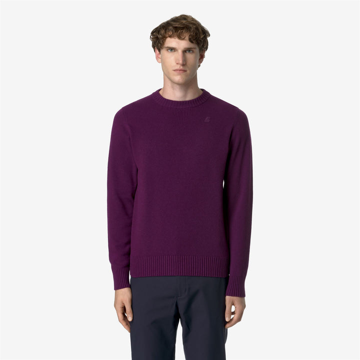 KNITWEAR Man SEBASTIEN LAMBSWOOL Pull Over VIOLET GRAPE Dressed Back (jpg Rgb)		