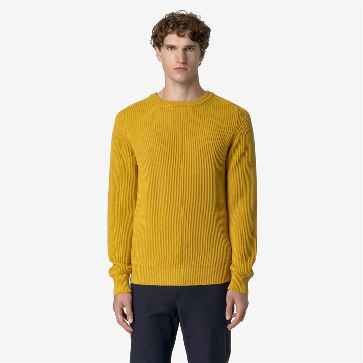 KNITWEAR Man VERIN WOOL MERINO BLEND Pull Over YELLOW GOLDEN ROD Dressed Back (jpg Rgb)		